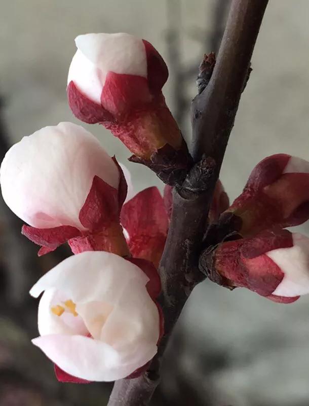 手拍世界近期作品,手拍世界微信公众号