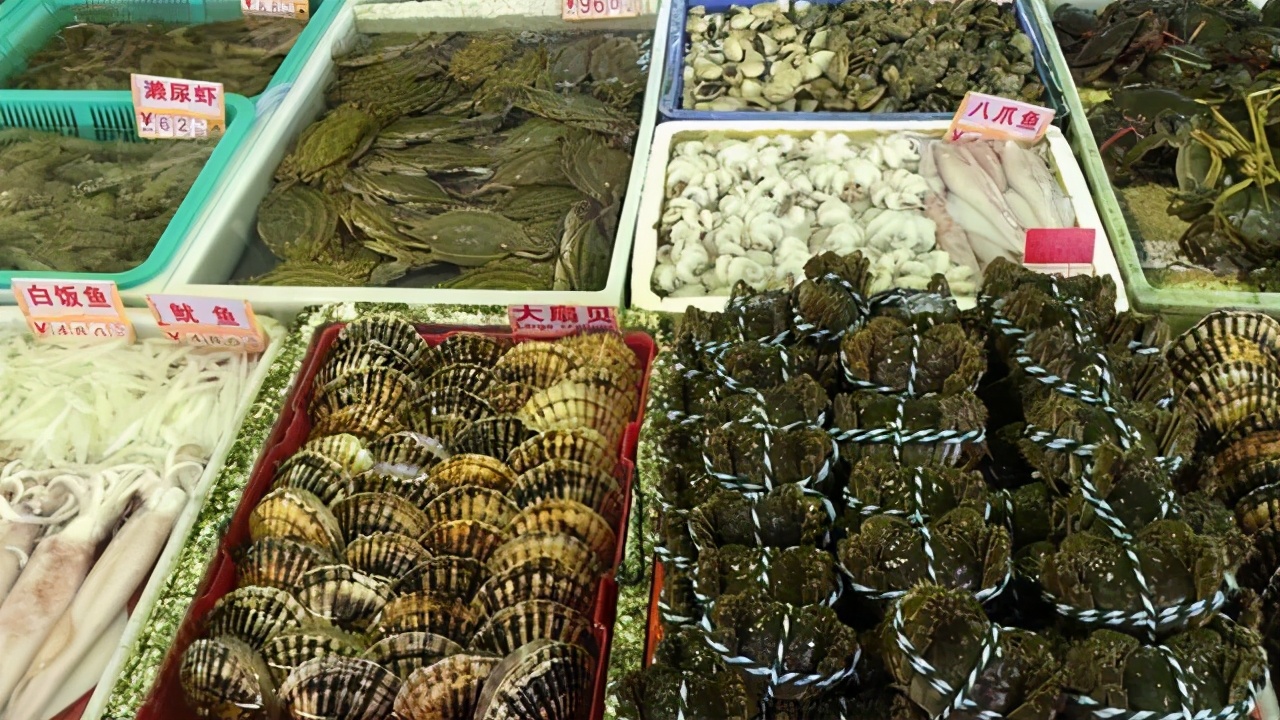 与澳门隔江相望,与澳门隔江相望的地方