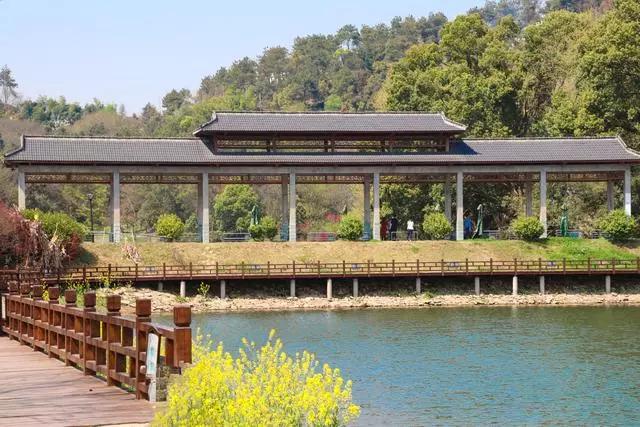 疫情过后一起来踏青吧,疫情过后一起去山花浪漫处