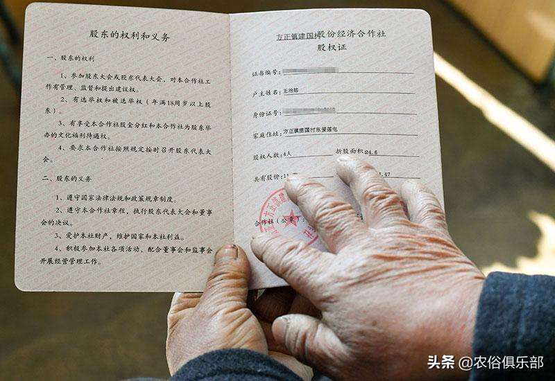 农村集体经济组织股权证如何发放,农村集体经济股权证有什么作用