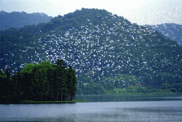 佛山市景区全免费开放,佛山南海多个场馆恢复开放