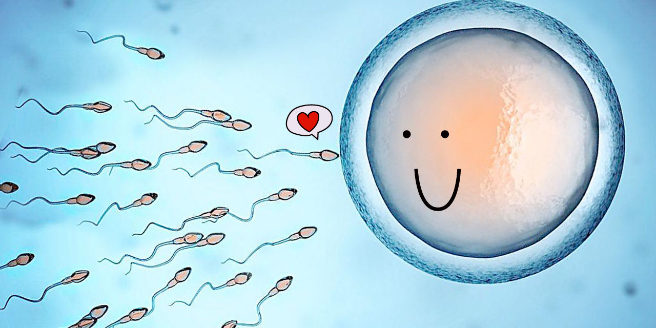 姝ｅ父鍙楀瓡鍜屽澶栧瓡鍙戠敓杩囩▼瀵规瘮,杈撳嵉绠″濞犵殑缁撳眬鏈夊摢鍑犵