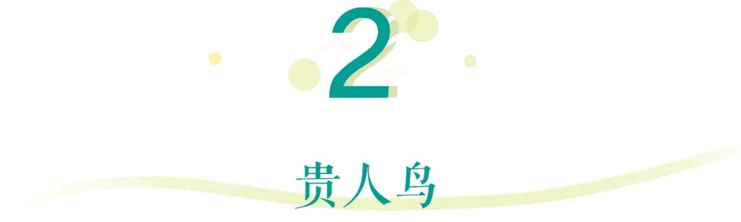 国产百元运动鞋,几款名牌运动鞋