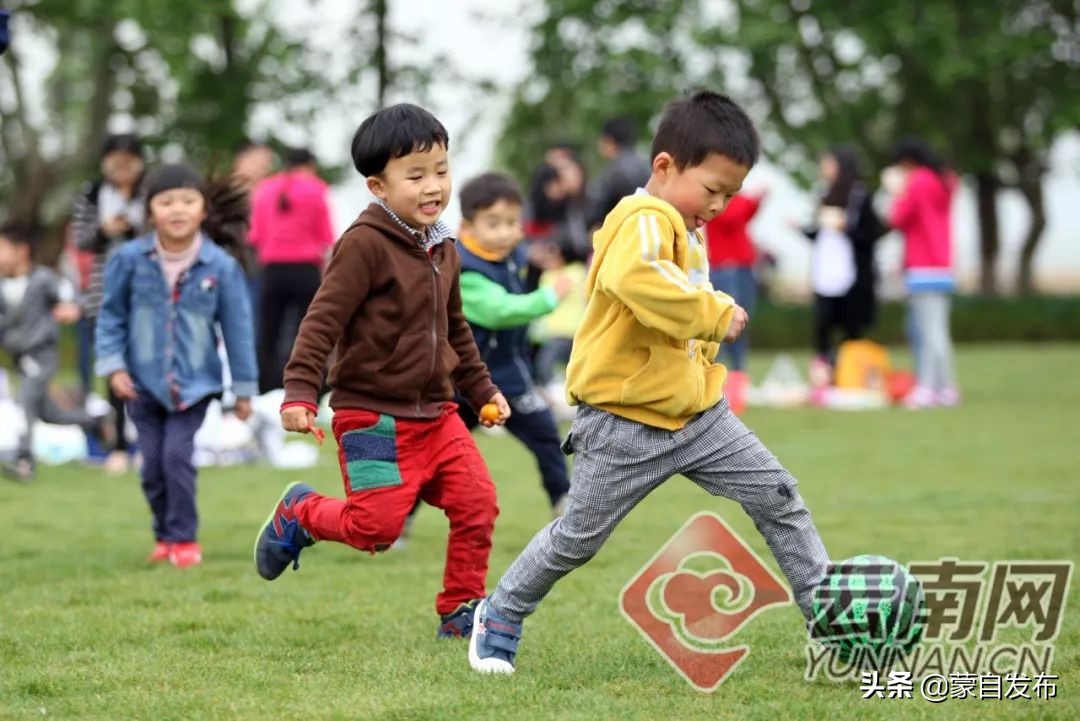 云南省现代教育示范学校名单,云南特色学校排行榜