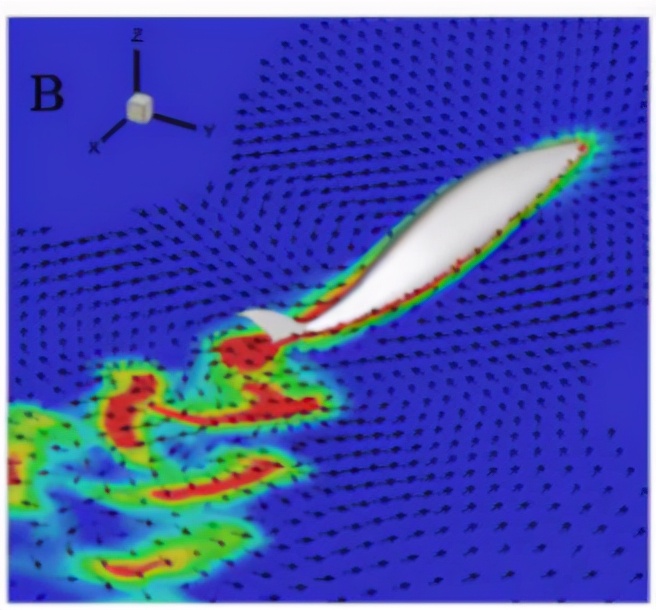 鱼为什么会游泳动画片,鱼为什么会游泳解说