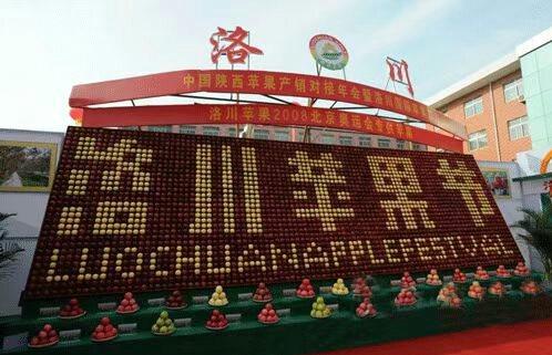 陕西洛川苹果苗,陕西洛川苹果直销直播间