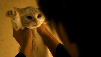 舞蹈教学视频drops,舞蹈教学droptopcool