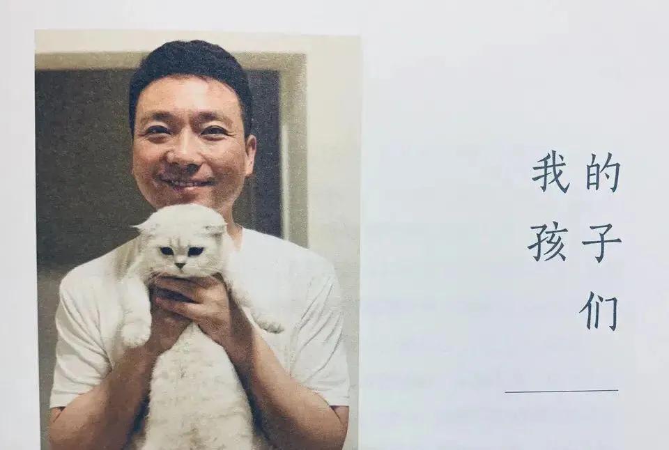 没想到,央视的名嘴们全都是猫奴