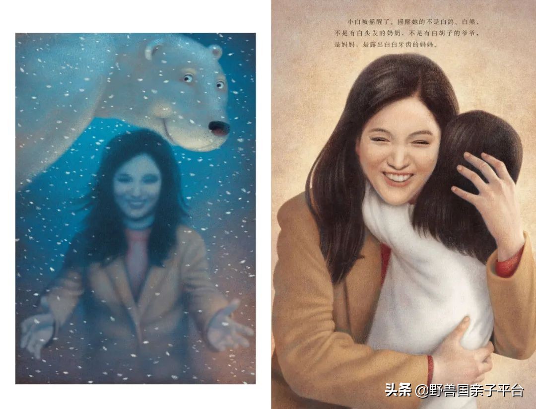 读小库系列书如何,读小库书怎么样