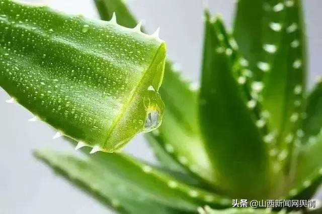 山西部分地区将有雨雪晋城天气,山西中南部将迎雨雪天气