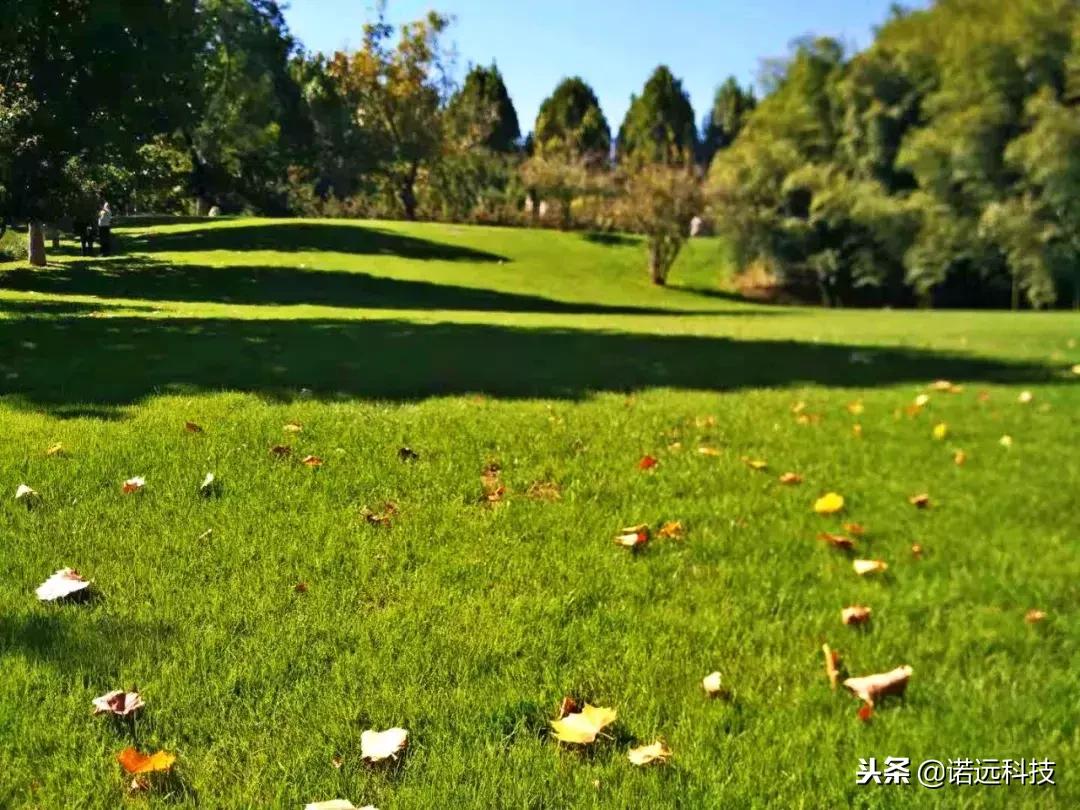 苦行僧般的自律才有所谓的优秀,所有优秀的背后都是苦行僧的自律