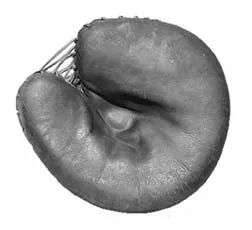 护具：球场上最辛劳人们的守护天使