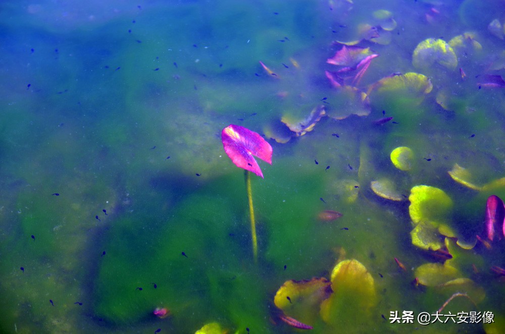 惊蛰到万物复苏的季节,惊蛰到万物醒大班绘本