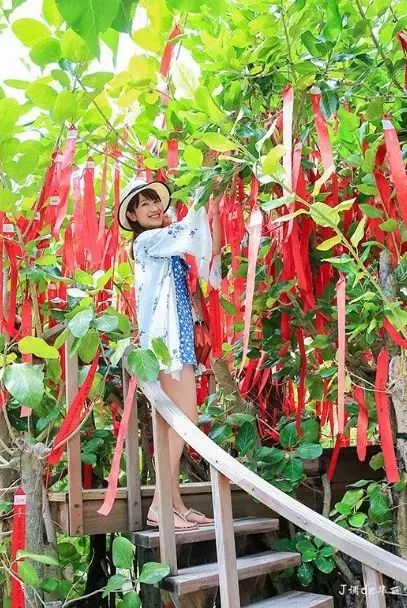 林心如四川度蜜月,林心如马尔代夫