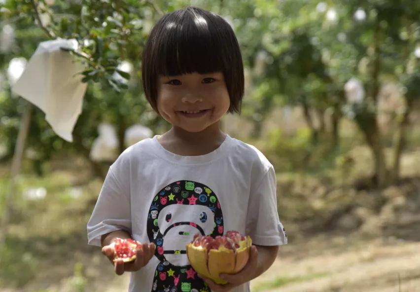 突尼斯软籽石榴可以喝的石榴,突尼斯软籽石榴和雅诗兰黛