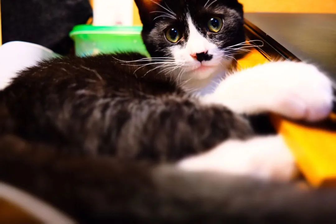 和卡卡的第一次合作,和卡卡相遇