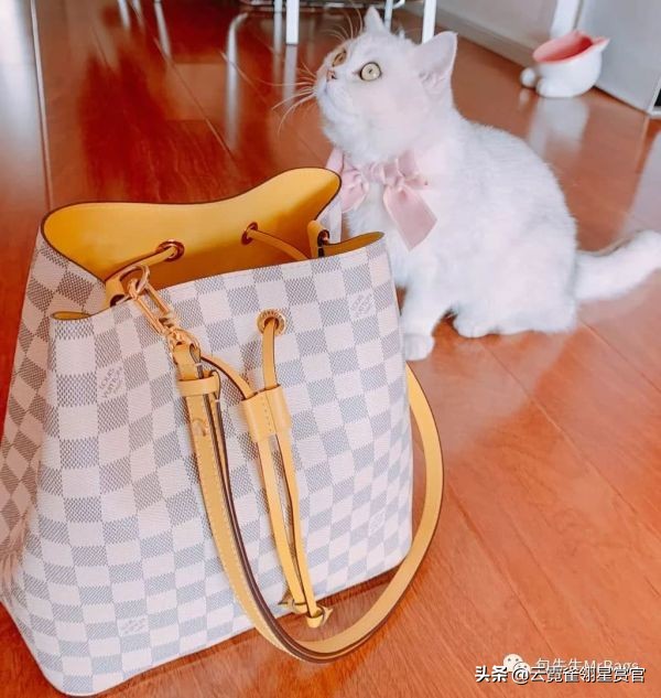 超好看的宠物包,好看又大的宠物包