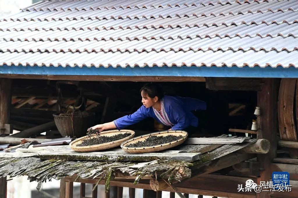 央视新闻报道三江,央视点评三江锅