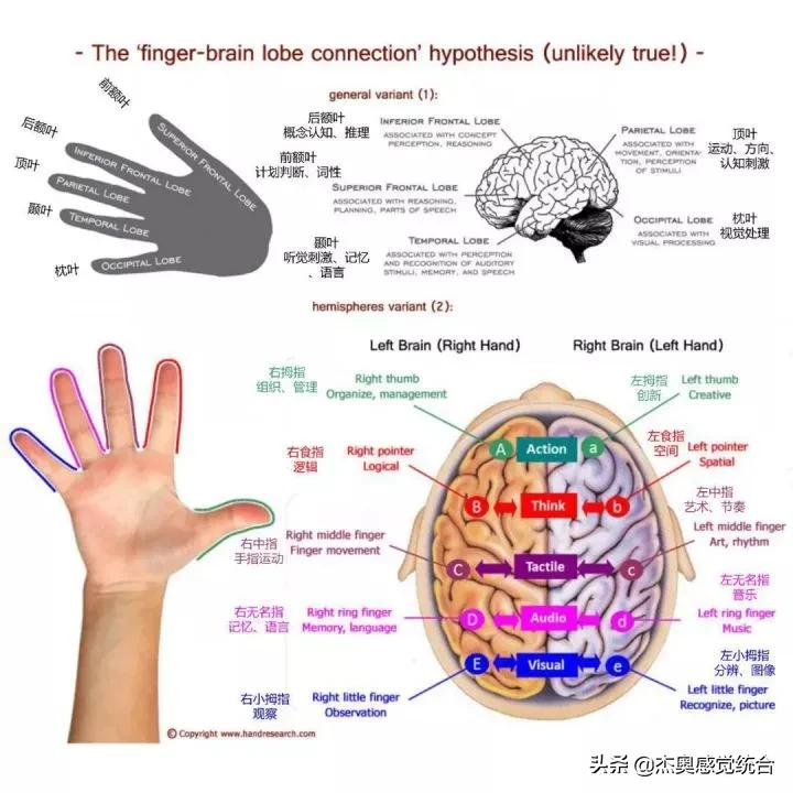 你知道吗？手指灵活能让口才更好、头脑更聪明（文尾附训练游戏