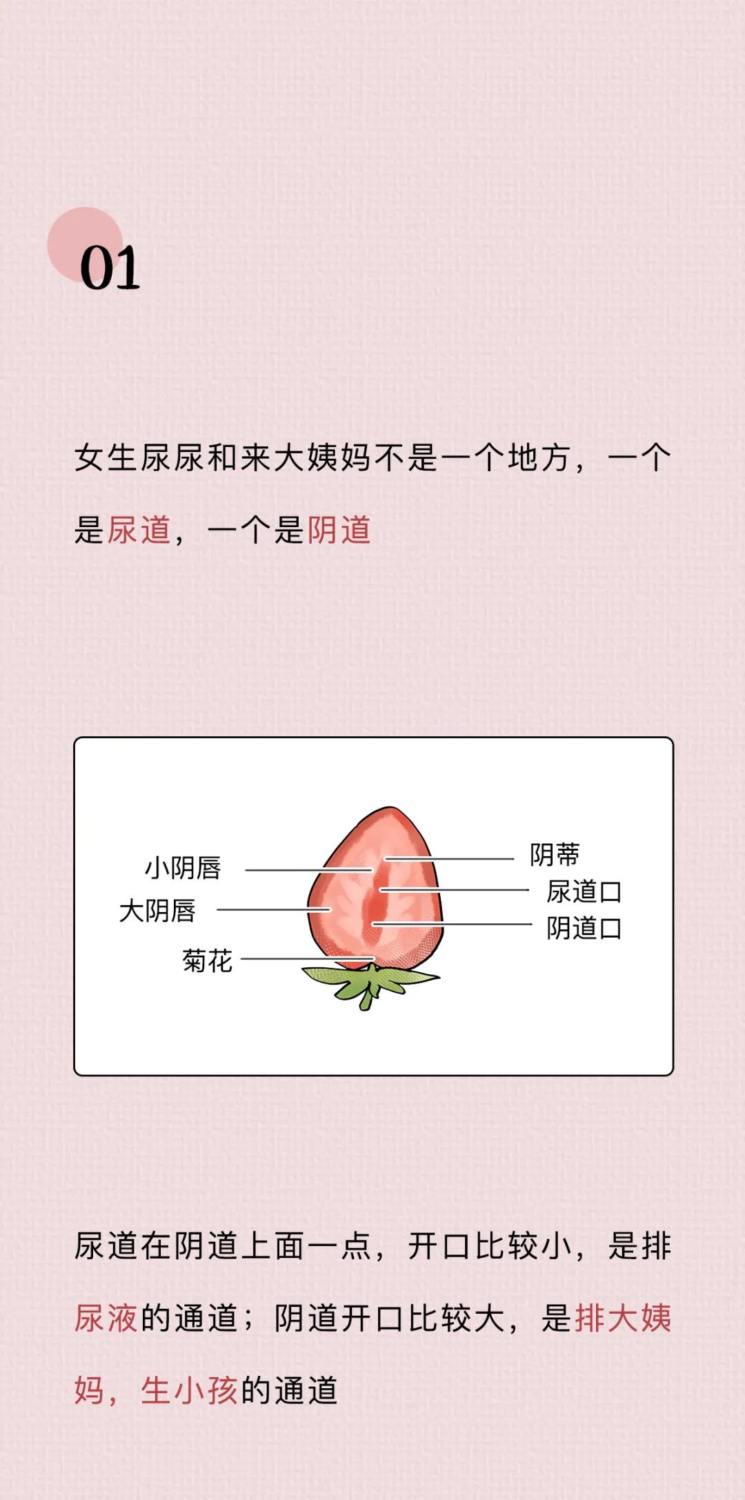 阴道生理科普小知识,女性阴道生理科普知识大全100题