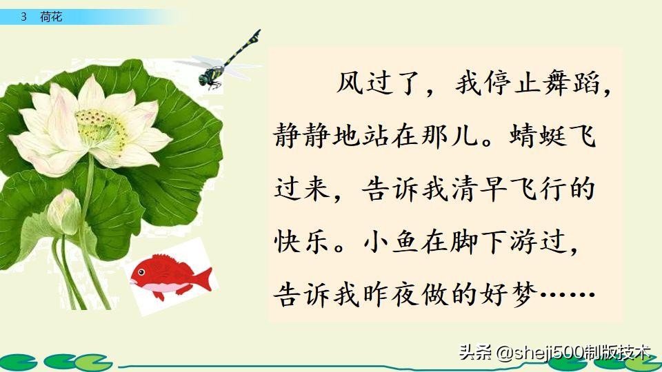 部编版三年级下册语文3荷花讲解,三年级下册部编语文荷花教学视频