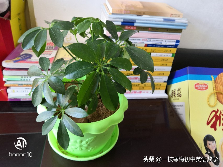 人教版八年级下英语重点短语总结,八年级上册英语语法精讲教材同步