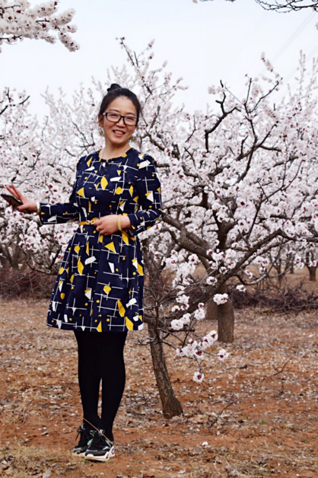 漂亮的杏花在枝头绽放,杏花盛开姹紫嫣红春意盎然