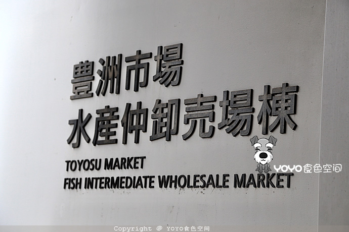 挪威自由行游记,挪威三文鱼远洋