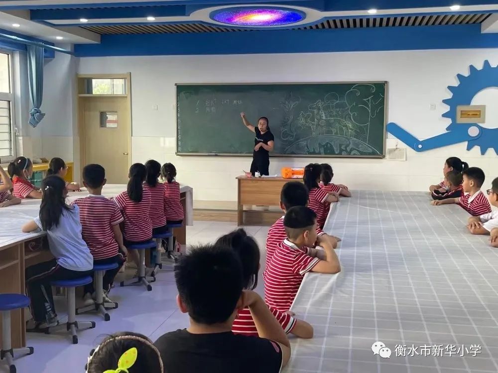 社团活动小学兴趣小组,新华小学三年级参加兴趣小组