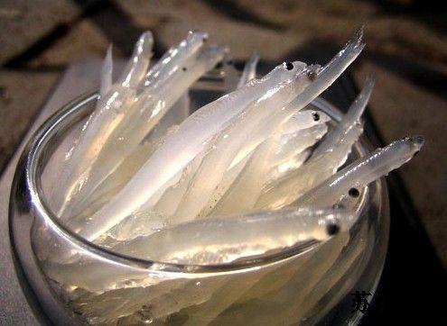 苏州东山二日游攻略,苏州东山景区自驾从哪里上山