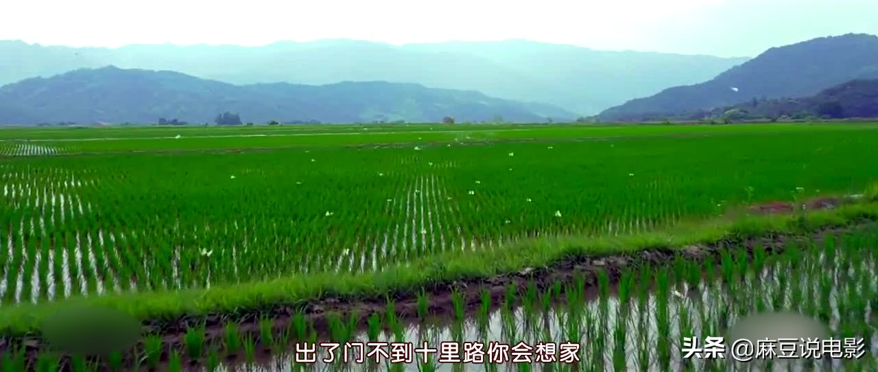 韩国拍摄的这部电影《鬼乡》揭露那段悲惨的历史