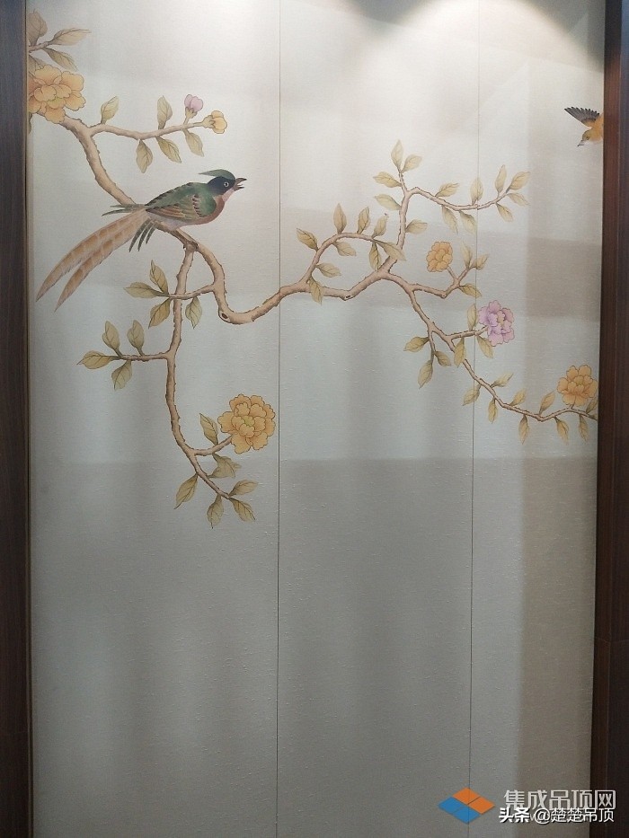 楚楚顶墙效果,楚楚顶墙新品