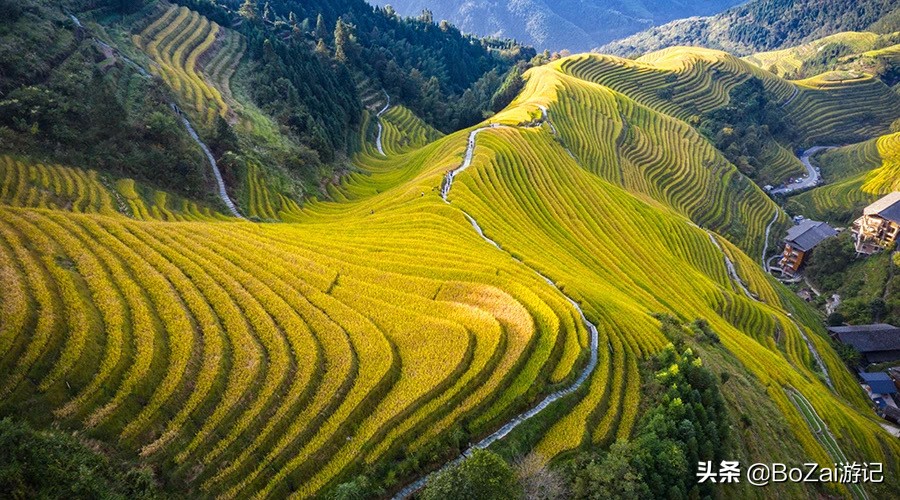 桂林旅游攻略必看景点有哪些,桂林的旅游景点有哪些地方