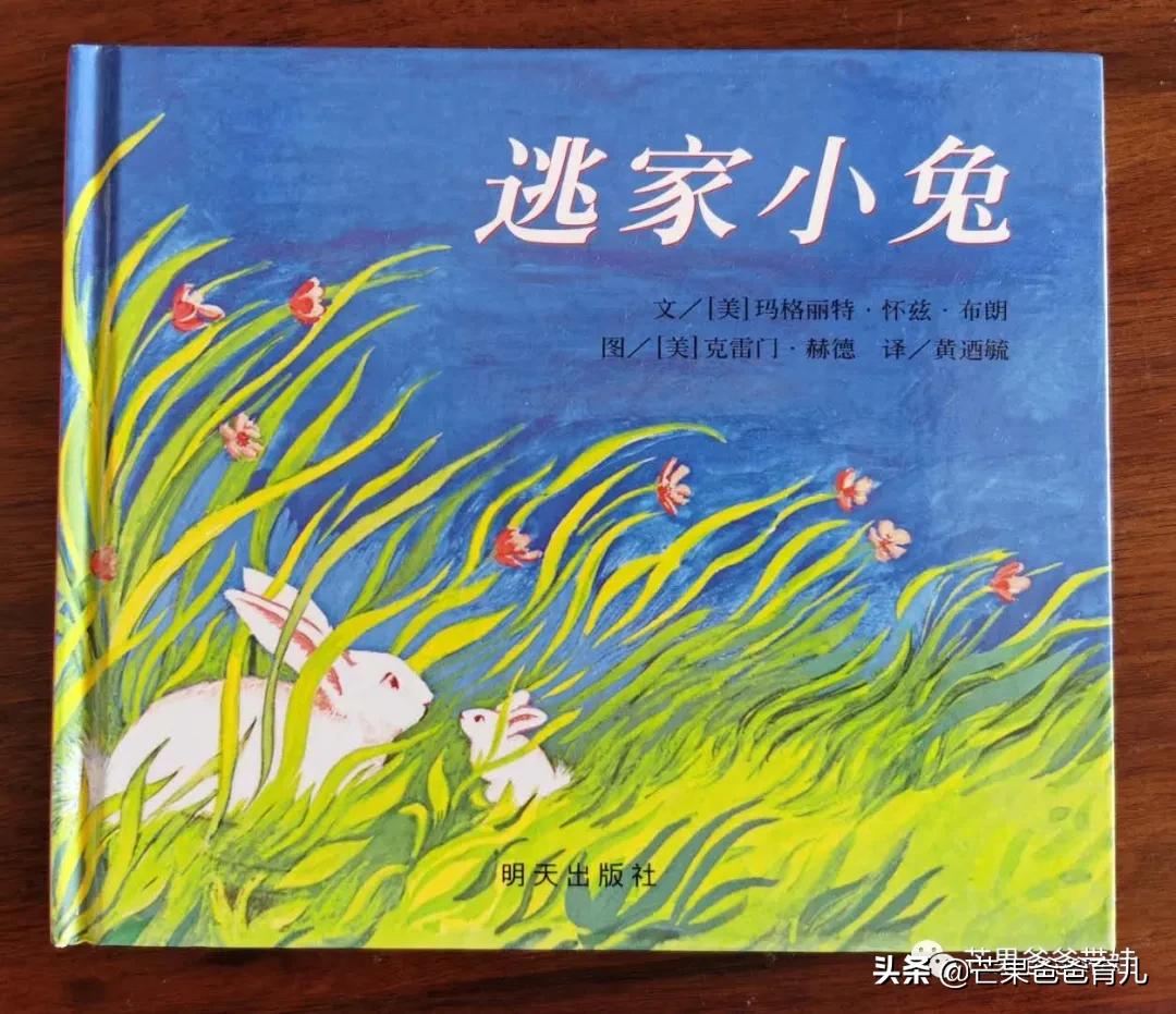 适合亲子读的绘本,100本最适合亲子阅读的绘本