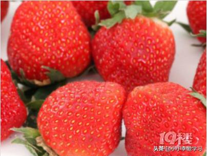 日本食品的警示,日本食品禁令