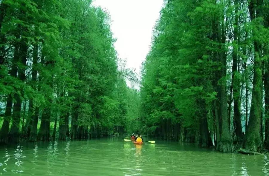 北京皮划艇亲子游玩推荐,亲子游玩上海皮划艇