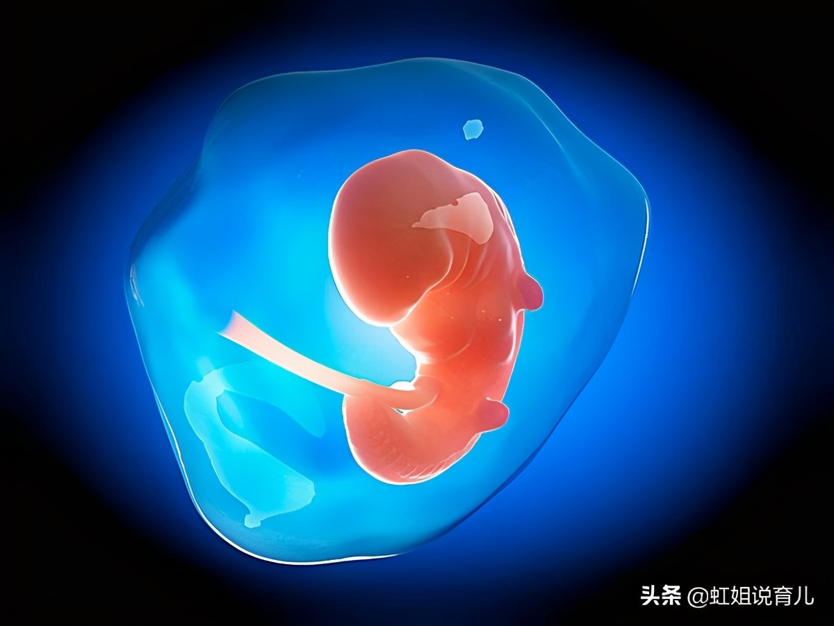 刚怀孕1个月的妈妈要注意什么,怀孕一个月胎儿发育注意事项