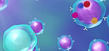 宫颈癌筛查tct和hpv有什么差别,宫颈癌筛查tct和hpv准确率有多少