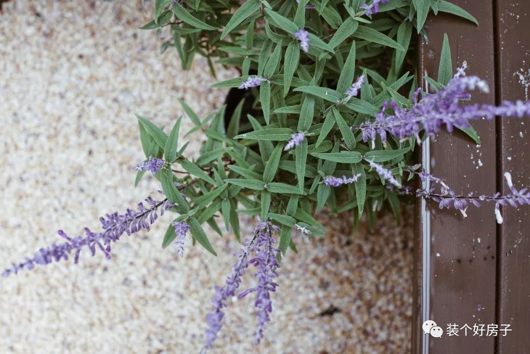 上海老破小学区房改造,上海夫妻改造房子