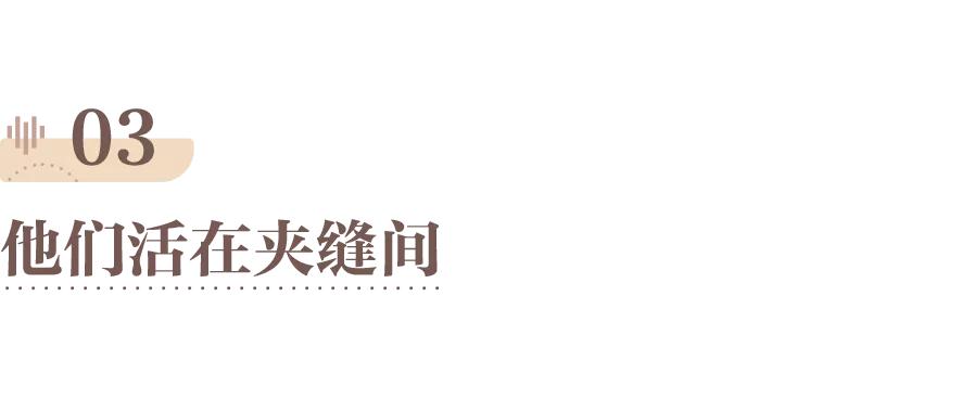 网红圈消失的网红,网红圈真的很可怕