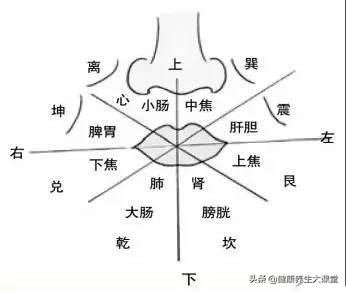 面诊鼻诊图解大全,中医舌诊面诊耳诊的好处