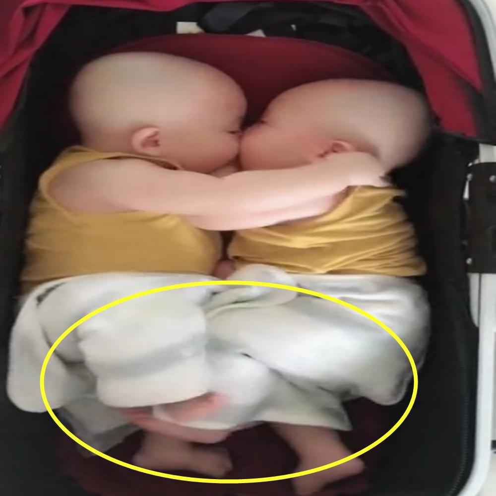 双胞胎宝宝一起坐的婴儿车,双胞胎宝宝在一起玩闹着都很有趣