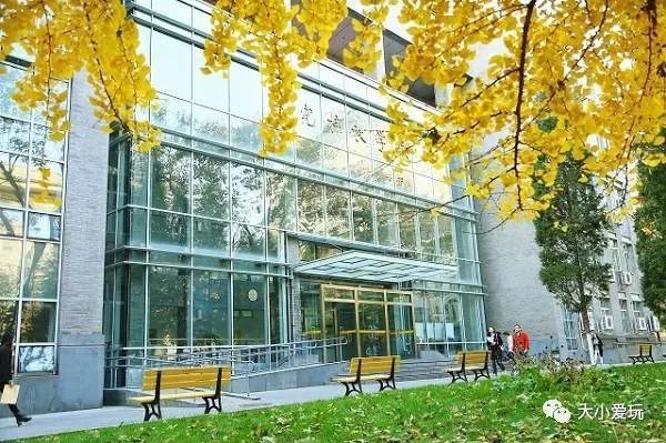 银杏北京打卡地,北京十大银杏观赏地图