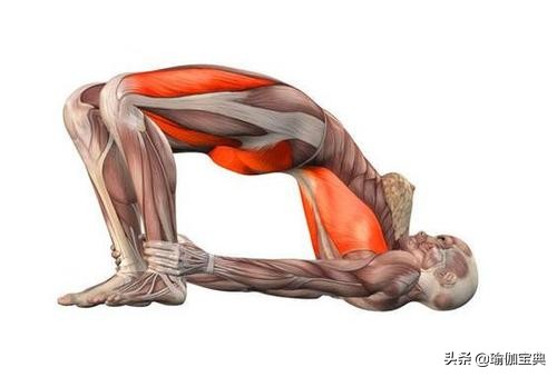 适合男性锻炼的瑜伽改变体质,男士提高力量的瑜伽