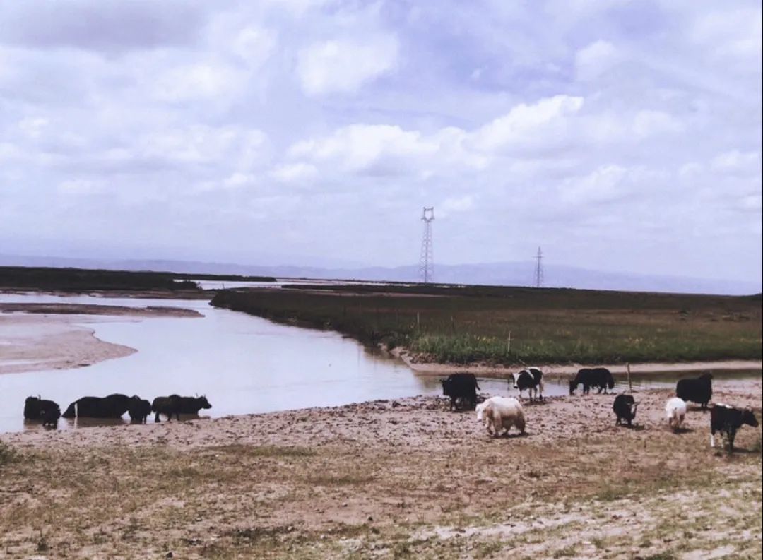 震撼心灵的星空酒店，只在青海