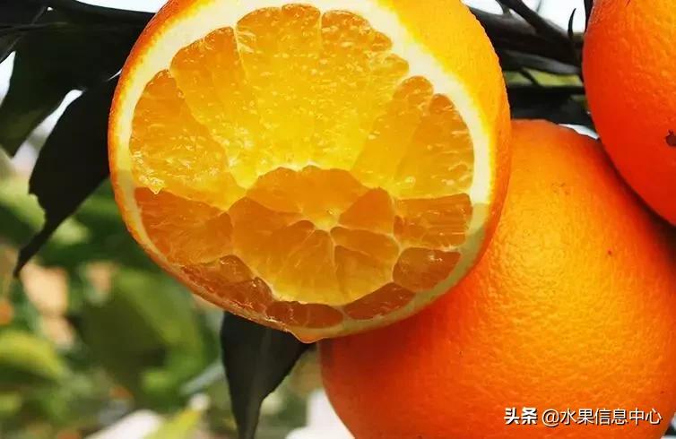 中国水果大全,中国水果大全图片和名字