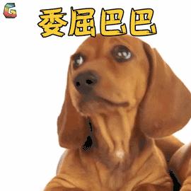 濂跺ザgrandma,濂跺ザ涓轰粈涔堜笉鑳藉彨grandma