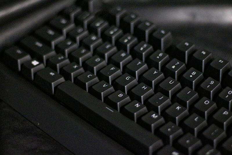 黑寡妇蜘蛛幻彩版和标准版,黑寡妇蜘蛛幻彩版灯光