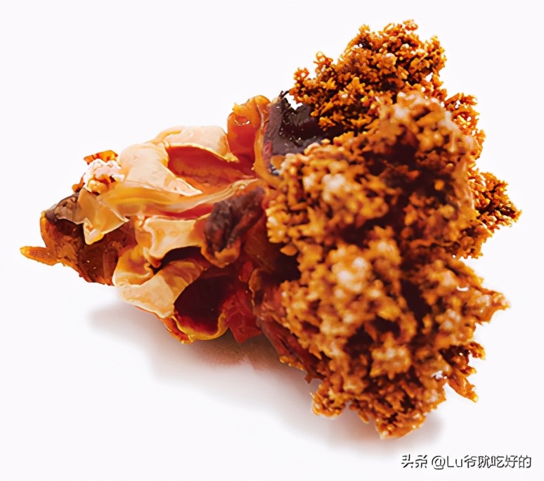 加拿大北极海参花好吃吗,加拿大海参无参花