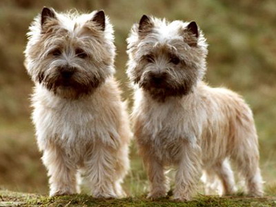 17版ps抠图最快又完整的方法,21版本ps抠图最快又完整的方法